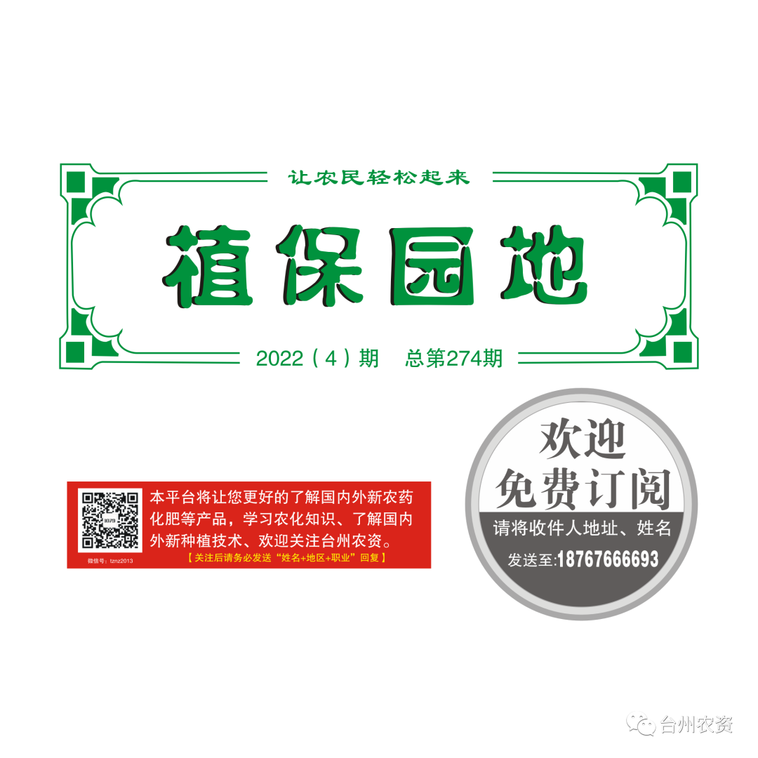 氣溫驟降，大棚西瓜做好以下幾點工作