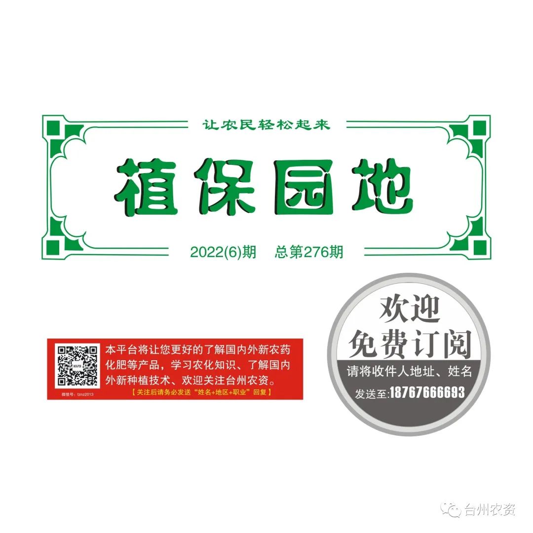 梅雨季節來臨，柑橘即將穩果，注意管理好夏梢，合理施肥打藥